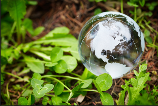 Appel à candidatures : Prix UNESCO du Sultan Qabus pour la conservation de l&rsquo;environnement 2023
